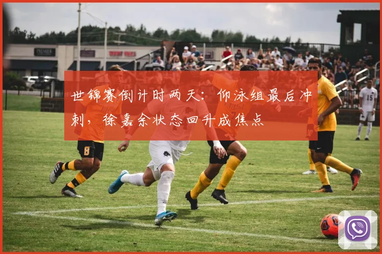 世锦赛倒计时两天：仰泳组最后冲刺，徐嘉余状态回升成焦点