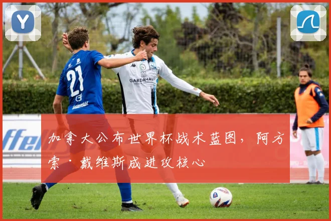 加拿大公布世界杯战术蓝图，阿方索·戴维斯成进攻核心