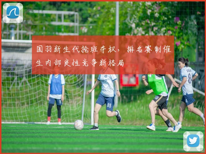 国羽新生代抢班夺权，排名赛制催生内部良性竞争新格局