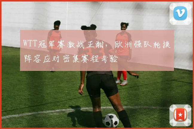 WTT冠军赛激战正酣，欧洲强队轮换阵容应对密集赛程考验