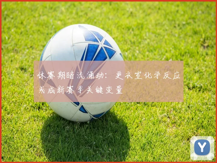 休赛期暗流涌动：更衣室化学反应或成新赛季关键变量