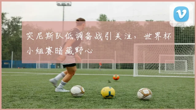 突尼斯队低调备战引关注，世界杯小组赛暗藏野心
